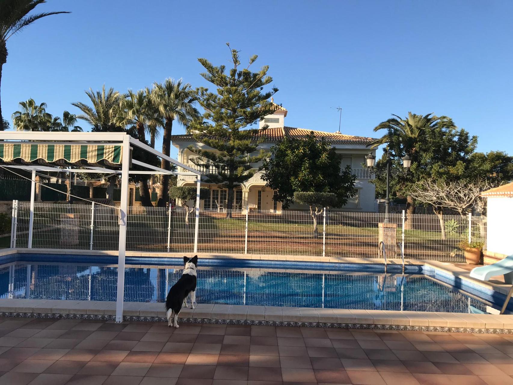 g_dsszotdq0uokmzmpeg3f Alicante – Sunrise Dream Properties