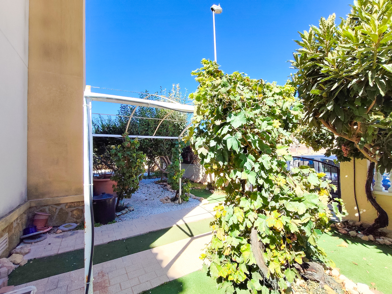 1789469659151_xlarge Apartment in Cabo Roig, Alicante