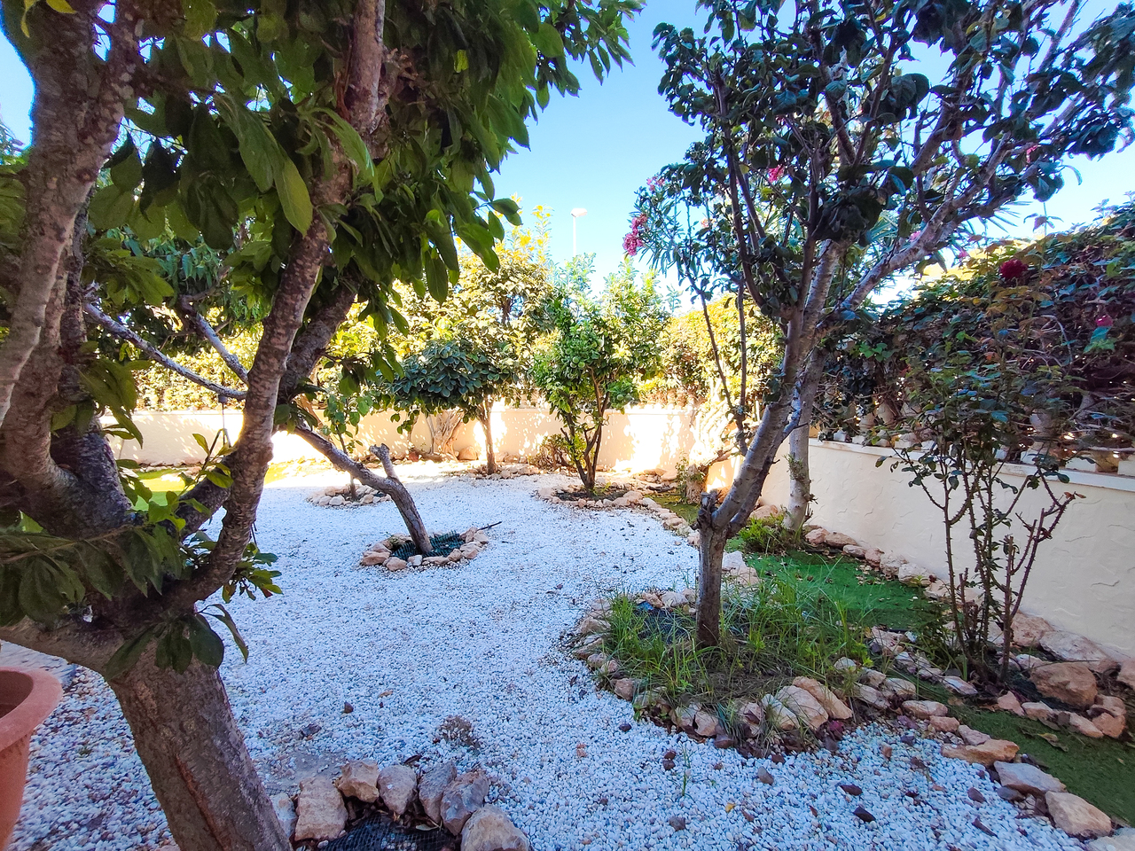 1789469659375_xlarge Apartment in Cabo Roig, Alicante