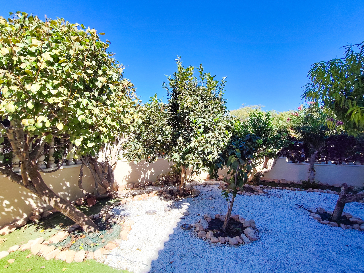 1789469659470_xlarge Apartment in Cabo Roig, Alicante