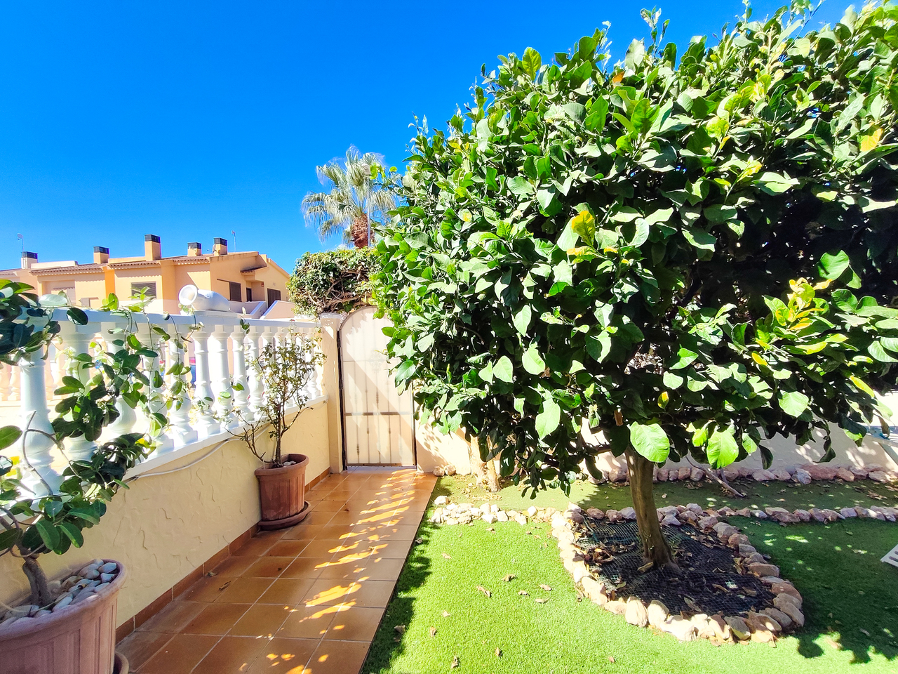 1789469659520_xlarge Apartment in Cabo Roig, Alicante