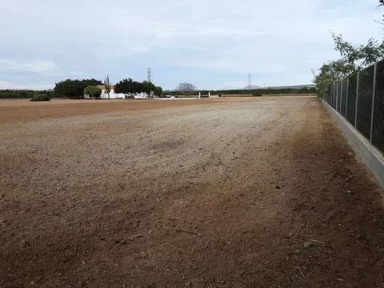 26s155h0825 Villa in San Miguel de Salinas, Alicante