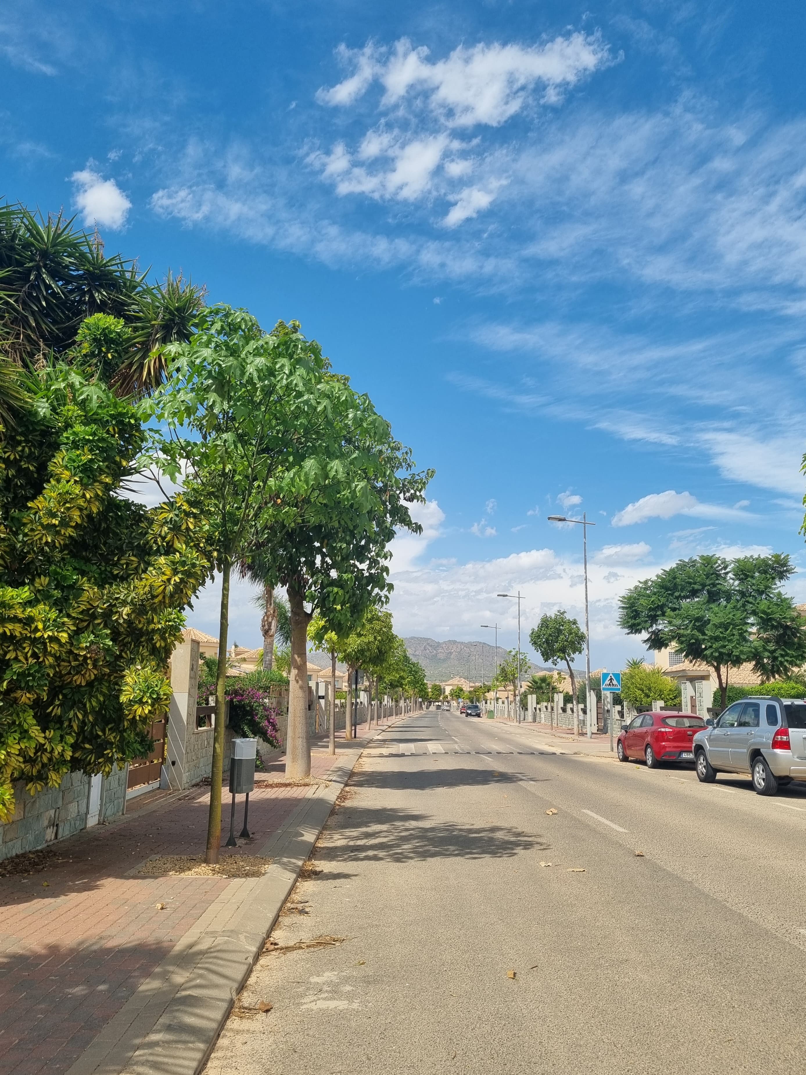 WhatsApp Image 2026-09-09 at 18.41.36 (1) Stunning Mediterranean Villa with 800 m² Plot & Large Pool on United Golf Resort