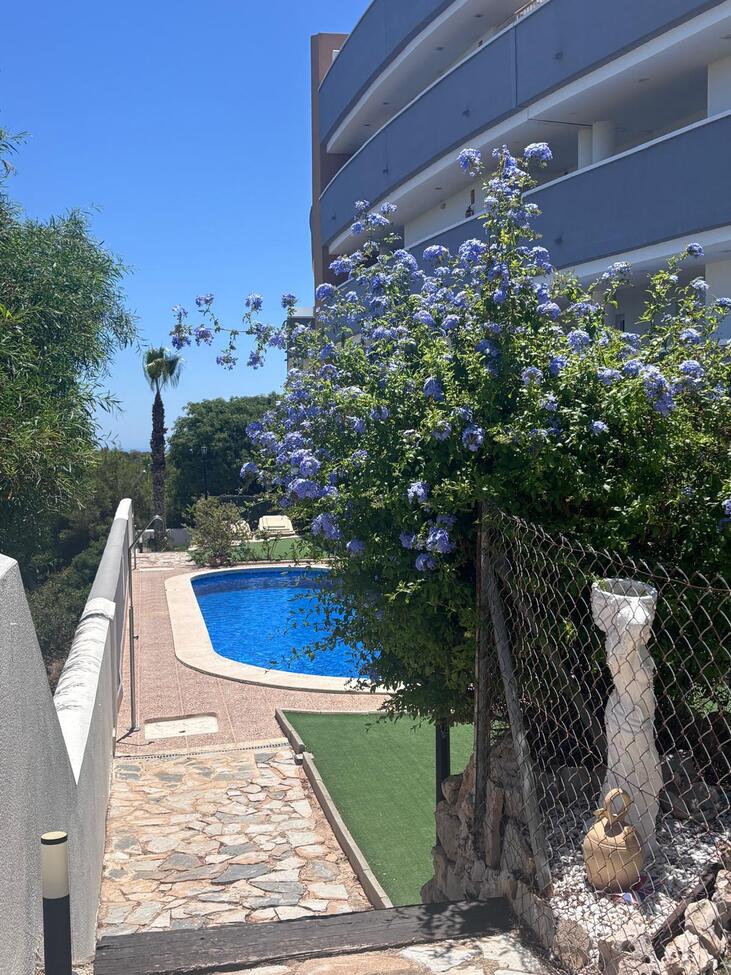 apartment-villamartin-spsdx236-28 Apartment in Villamartin, Alicante