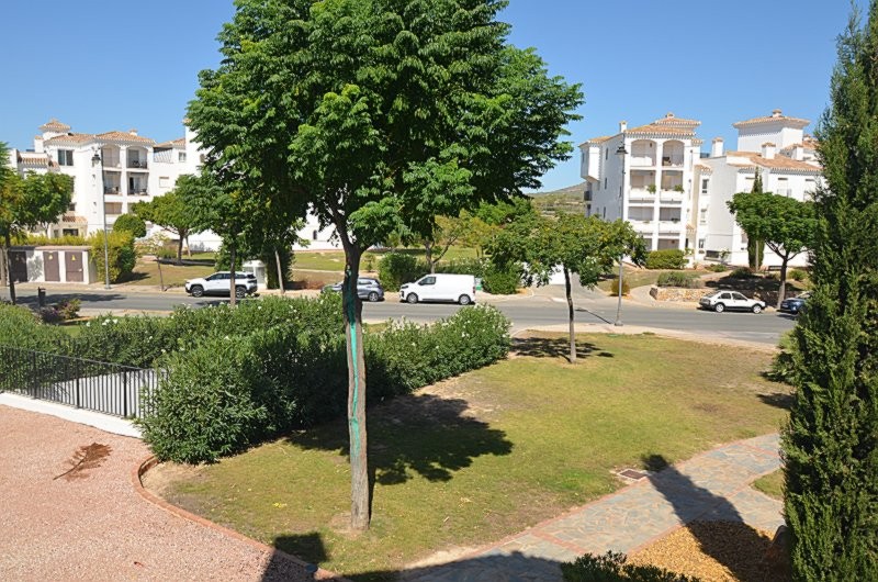 full_1562805_67094816 Apartment in Hacienda Riquelme Golf Resort, Murcia