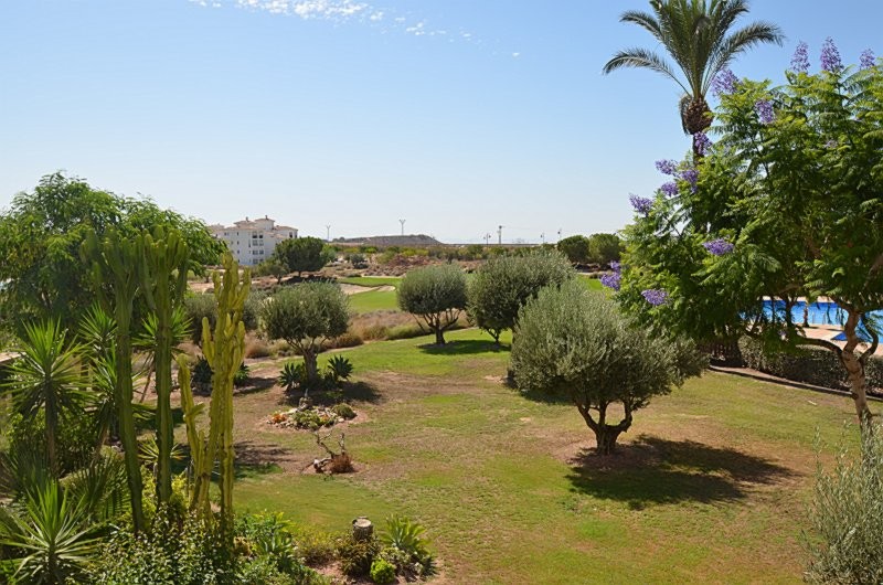full_1562805_67094829 Apartment in Hacienda Riquelme Golf Resort, Murcia