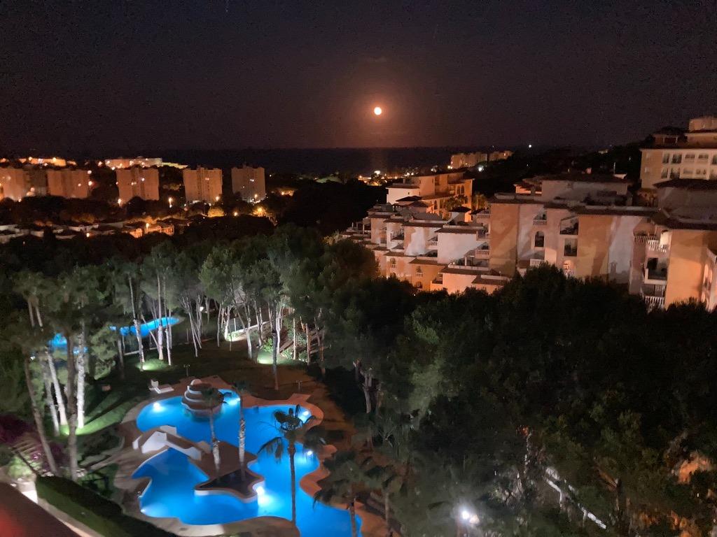 m-5c413197d16fa713e16c Apartment in Orihuela Costa, Alicante
