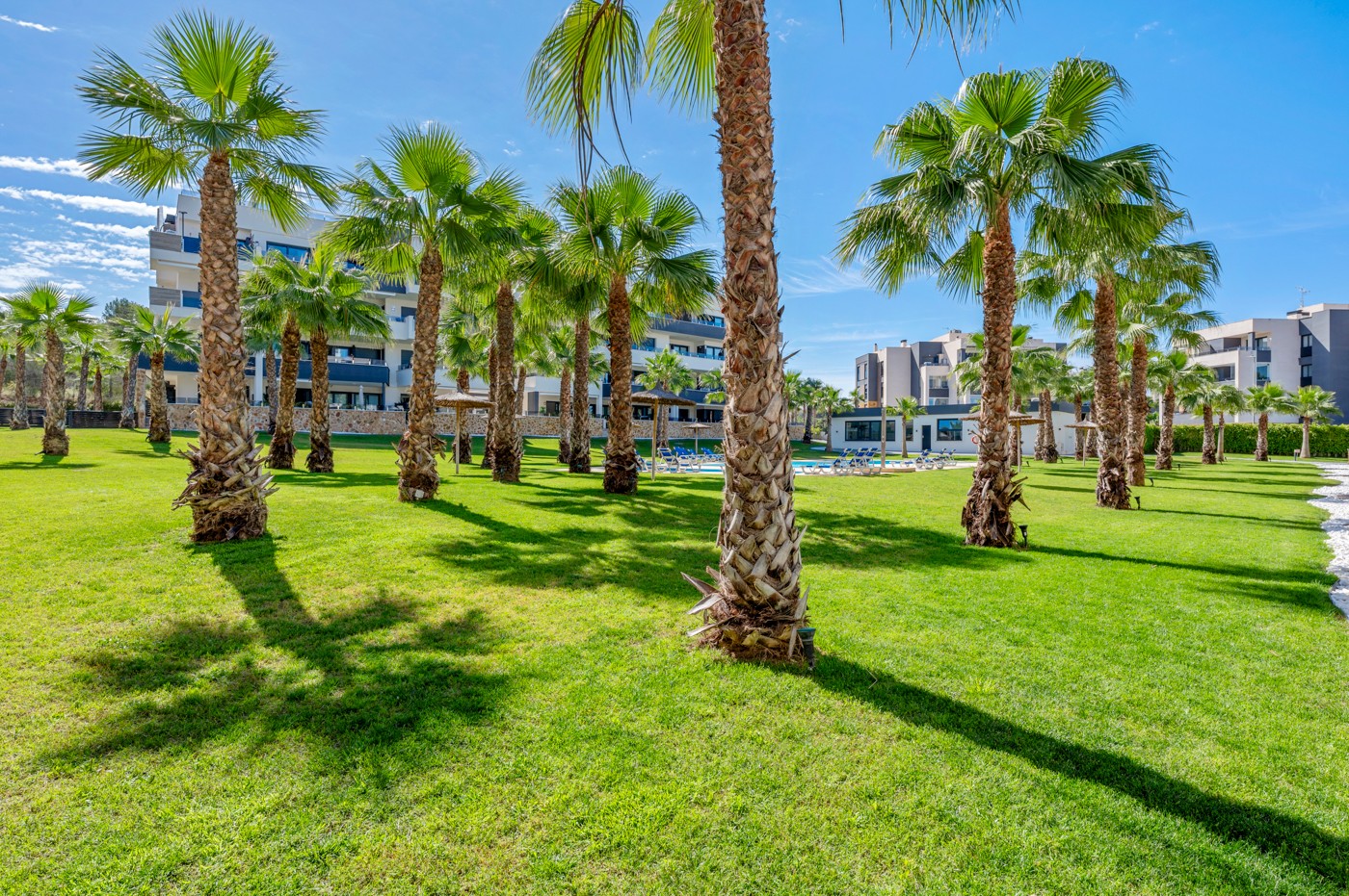 o_1k204dd7at11ofp1n9f1vd310bu3e Apartment in Orihuela Costa, Alicante